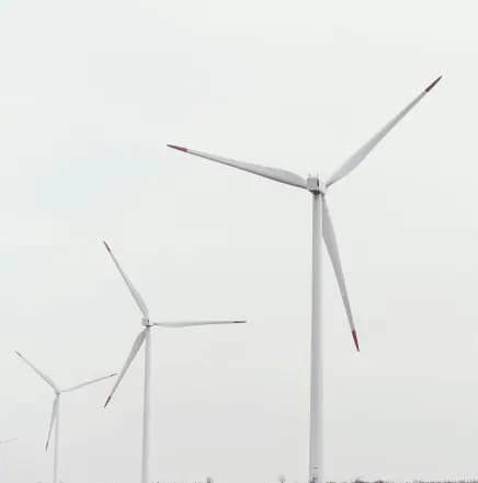  Sustainability
